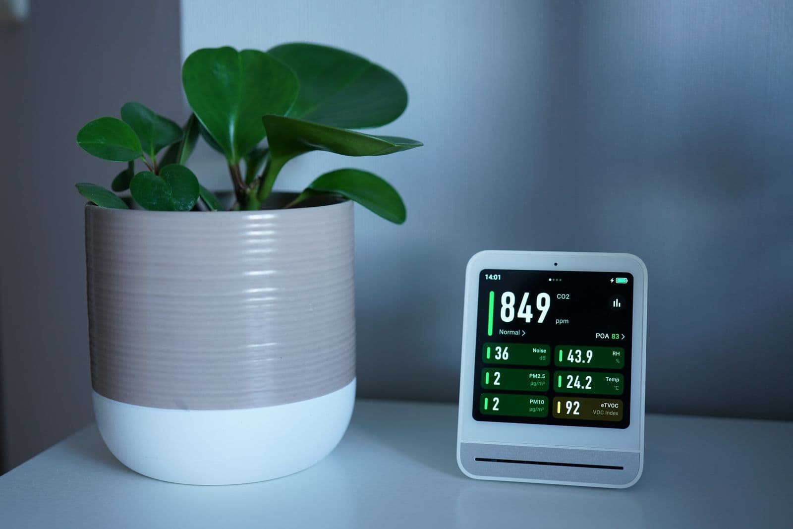 A modern indoor air-quality monitor beside a green houseplant showing clean, healthy air readings